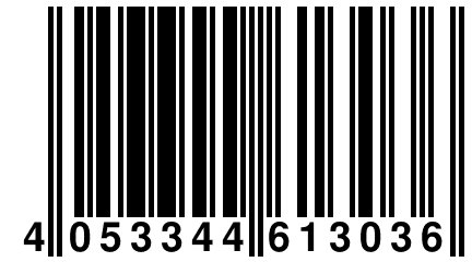 4 053344 613036