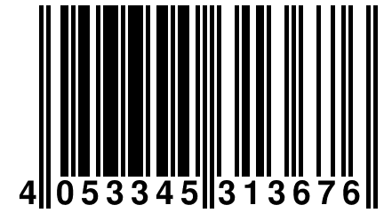 4 053345 313676