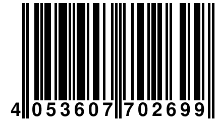 4 053607 702699