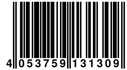 4 053759 131309