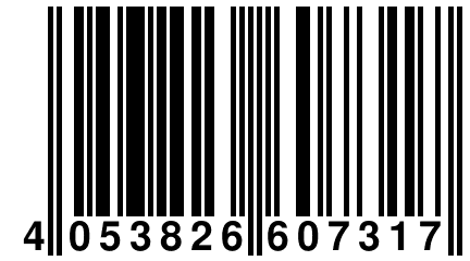 4 053826 607317