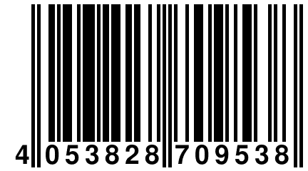 4 053828 709538