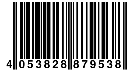 4 053828 879538