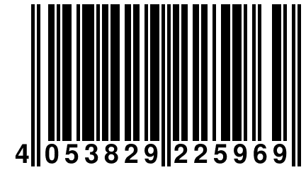 4 053829 225969