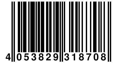 4 053829 318708