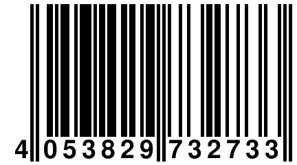 4 053829 732733