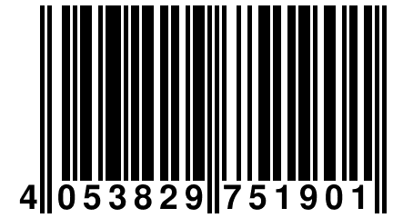 4 053829 751901