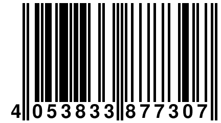 4 053833 877307