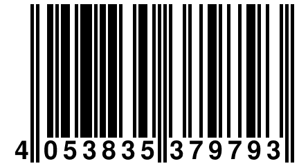 4 053835 379793