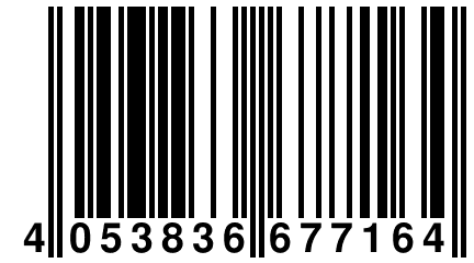 4 053836 677164