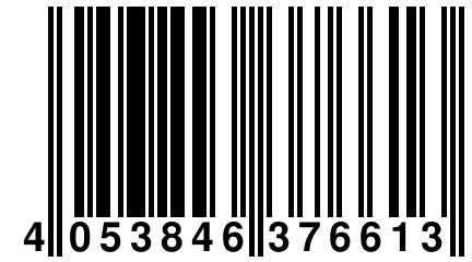 4 053846 376613