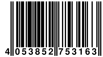 4 053852 753163