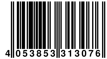 4 053853 313076