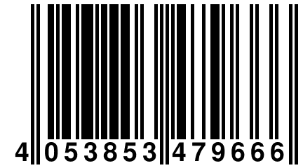 4 053853 479666