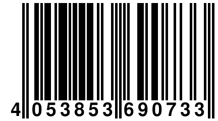 4 053853 690733