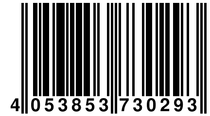 4 053853 730293