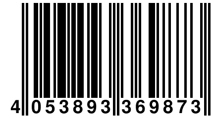 4 053893 369873