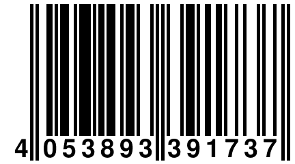 4 053893 391737