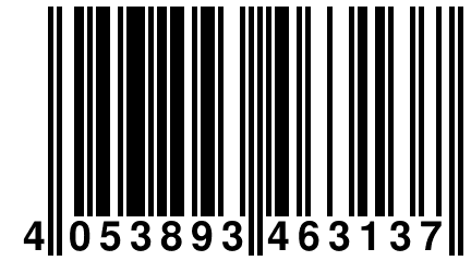 4 053893 463137