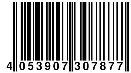 4 053907 307877