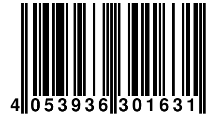 4 053936 301631