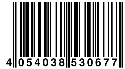 4 054038 530677