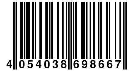 4 054038 698667