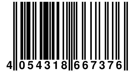 4 054318 667376