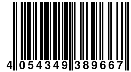 4 054349 389667