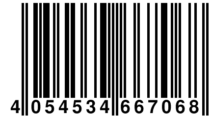 4 054534 667068