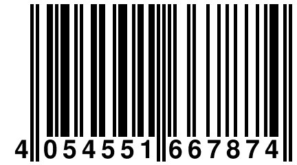 4 054551 667874