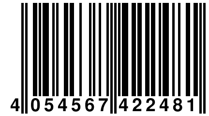 4 054567 422481