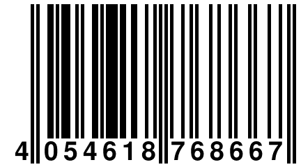 4 054618 768667