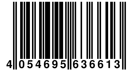 4 054695 636613