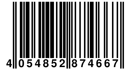 4 054852 874667