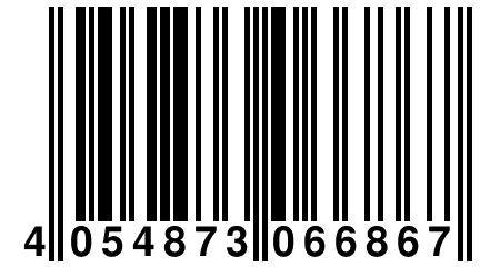 4 054873 066867