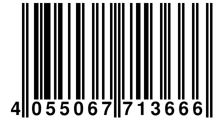 4 055067 713666