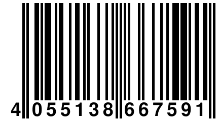 4 055138 667591