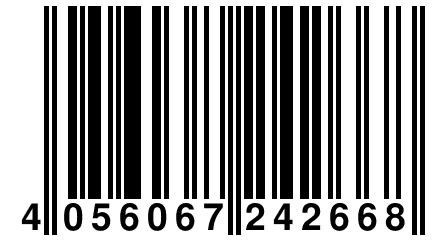 4 056067 242668