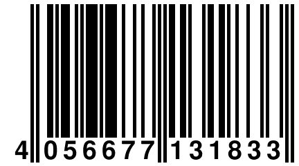 4 056677 131833