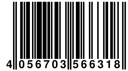 4 056703 566318