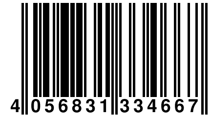 4 056831 334667