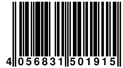 4 056831 501915