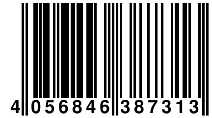 4 056846 387313