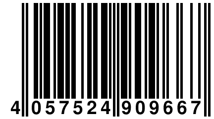 4 057524 909667