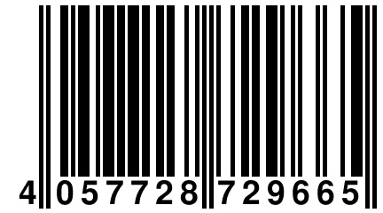 4 057728 729665