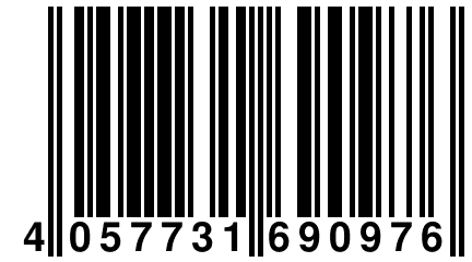 4 057731 690976