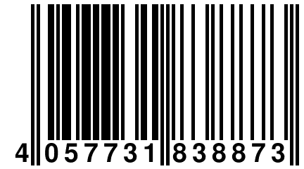 4 057731 838873