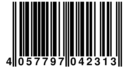 4 057797 042313