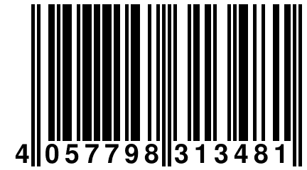 4 057798 313481